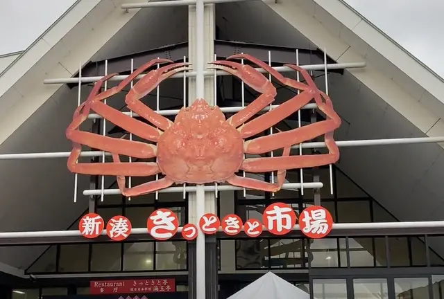 【富山】内川でカニと海鮮を堪能🦀レンタル着物でノスタルジックな街をおさんぽ旅