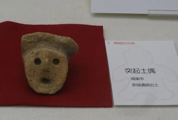 埼玉古墳群 さきたま風土記の丘の写真・動画_image_28903