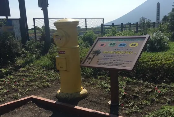 幸せの黄色い…