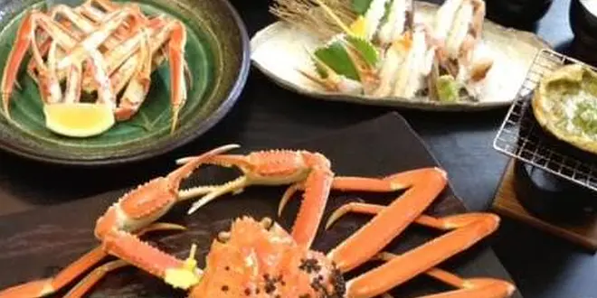 福井 グルメドライブ