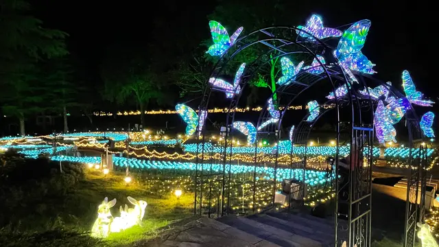 修善寺虹の郷サンクスイルミ