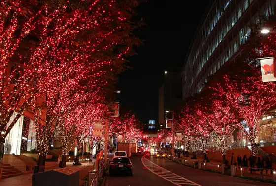 六本木けやき坂通り