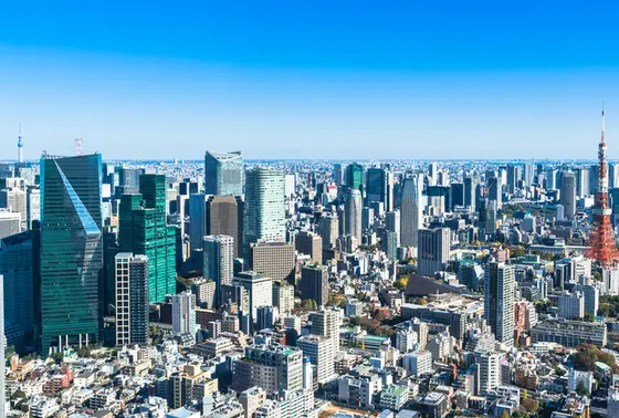 展望台からの景色