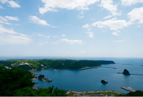 寝姿山から下田全体の景色を堪能