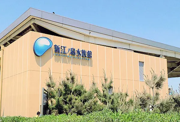 新江ノ島水族館