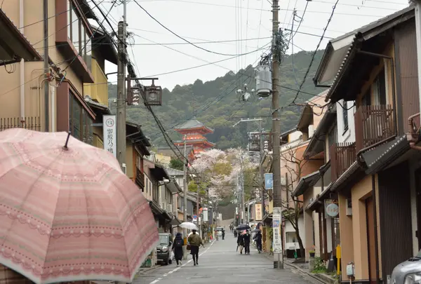 茶わん坂の写真・動画_image_422261