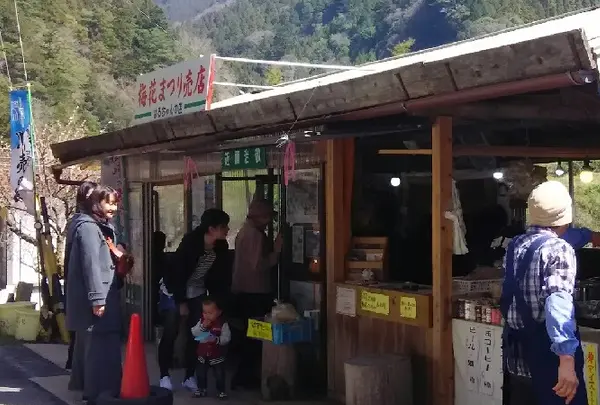 川売の梅の写真・動画_image_68314