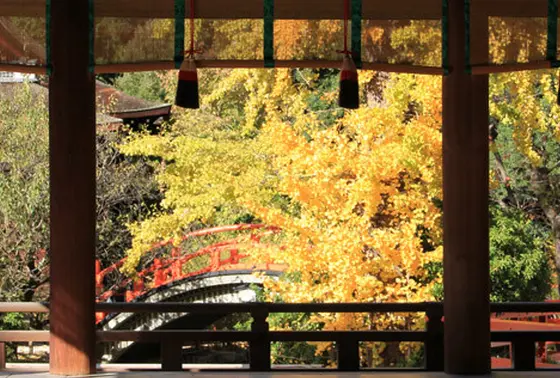 紅葉橋