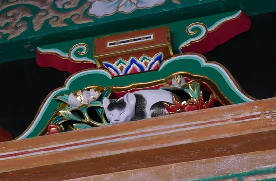 眠り猫を見逃さないように