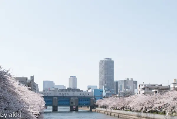清澄白河駅の写真・動画_image_132220