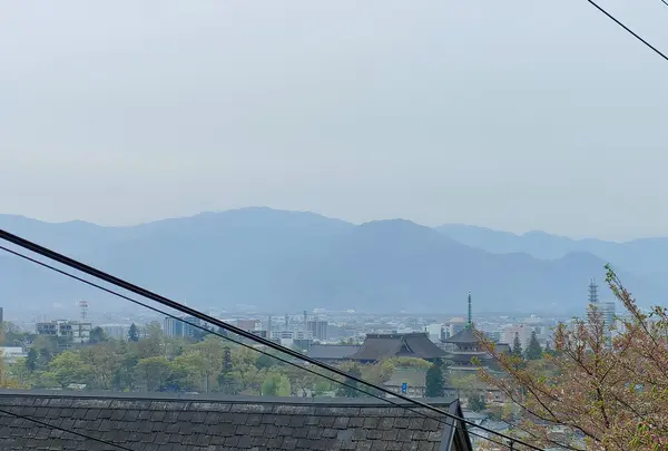 山の神温泉の写真・動画_image_511920