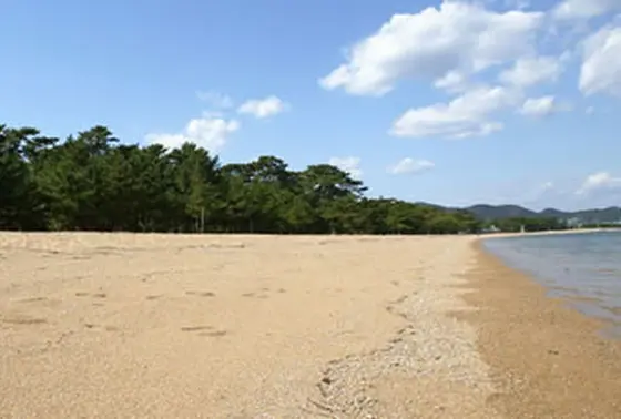 津田の松原海水浴場