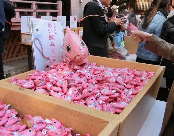 あい鯛みくじ