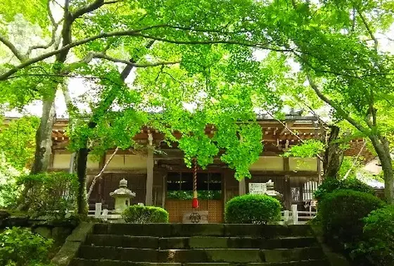本堂（阿弥陀堂）