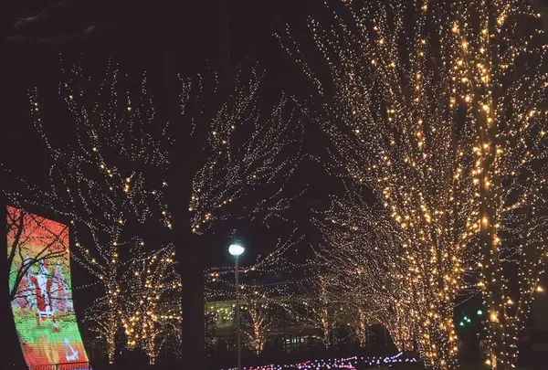 ロームイルミネーションの写真・動画_image_107298