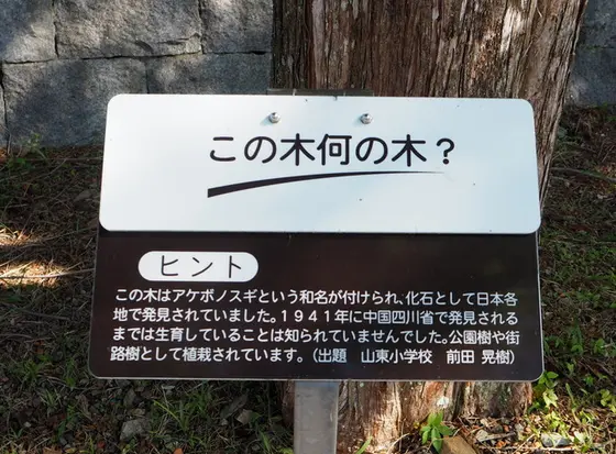 植物クイズ
