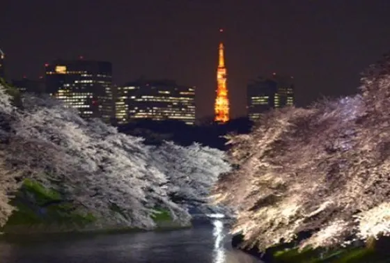 東京タワー