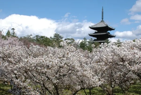 仁和寺