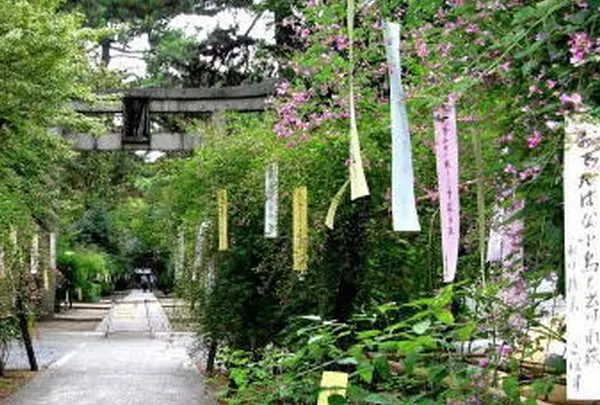 萩まつり