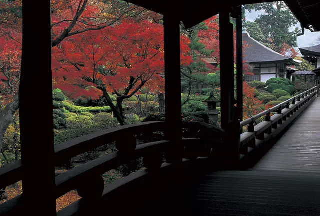 東京から日帰りで山梨行くずら～　: )