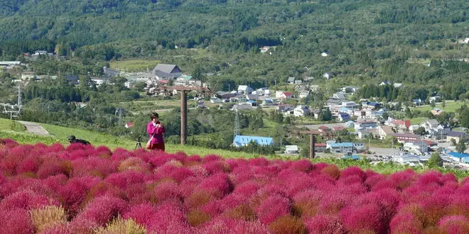 秋のコキア散策と秘境温泉の旅