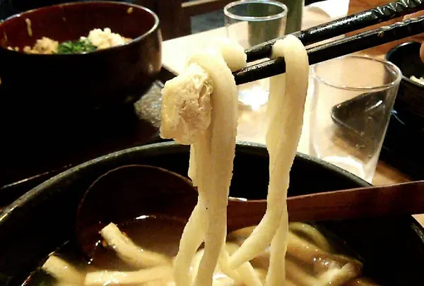 手打うどん けんどん屋の写真・動画_image_167605