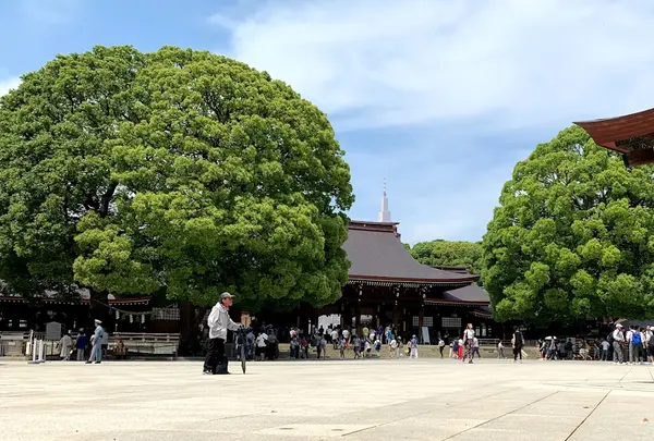 代々木公園