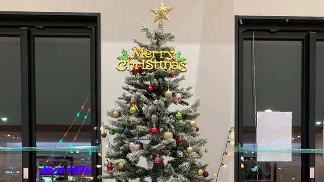 東京臨海高速鉄道りんかい線（東京テレポート駅）（イルミネーションアイランドお台場 2024）