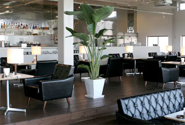 D&DEPARTMENT DINING TOKYO