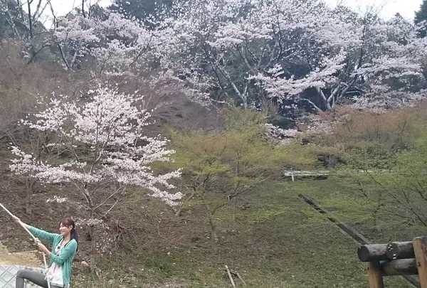 丸山公園