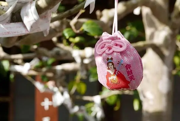 吉祥寺の写真・動画_image_248141