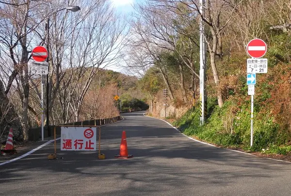 金華山ドライブコースを歩くの写真・動画_image_20911