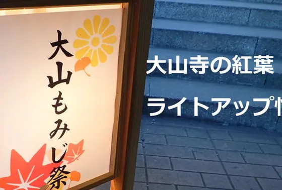 もみじ祭りの時期はライトアップも。