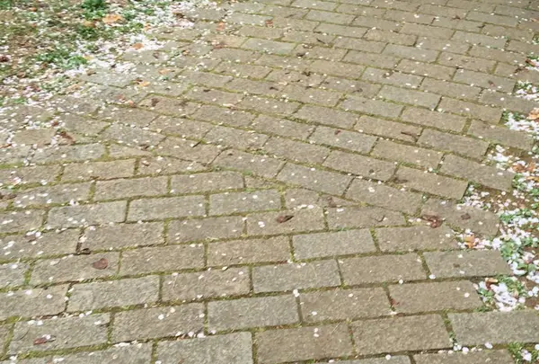 ☆歩く道