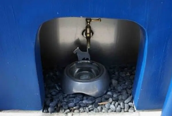 ヴァン ドゥ リュド 尾山台店の写真・動画_image_108406