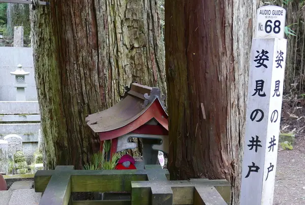 奥之院の写真・動画_image_214924