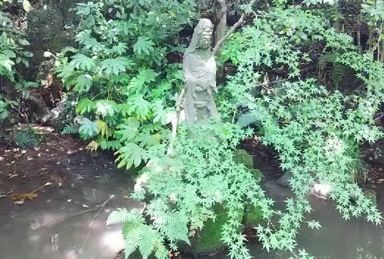 小池に佇む魚藍（ぎょらん）観音さま