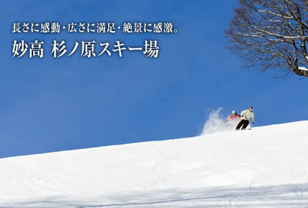 妙高杉ノ原スキー場
