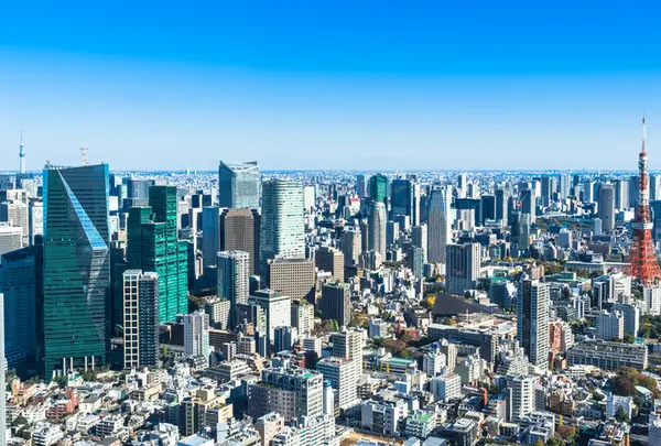 展望台からの景色