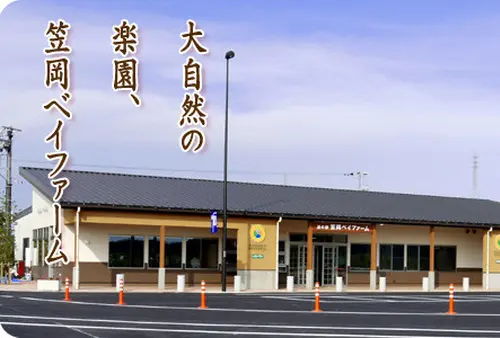 笠岡の花巡りスポット♪