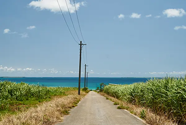 シュガーロード