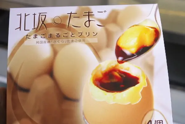 北坂養鶏場の写真・動画_image_84526