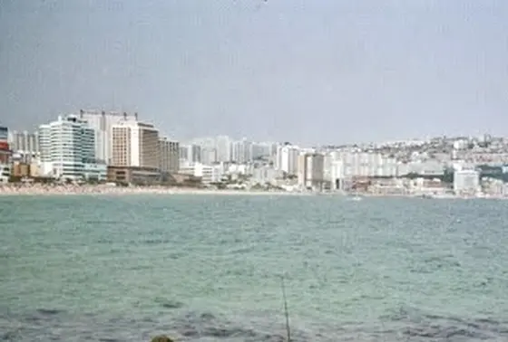 海側から見た景色