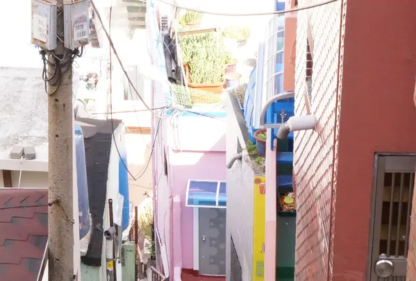 甘川洞文化村/カムチョンドンムナマウル/Gamcheon Culture Village/감천동문화마을の写真・動画_image_503699