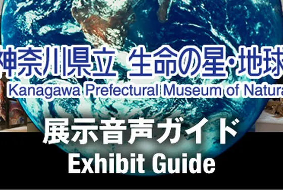 展示音声ガイド