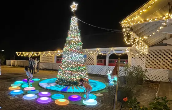 こどもの遊び場