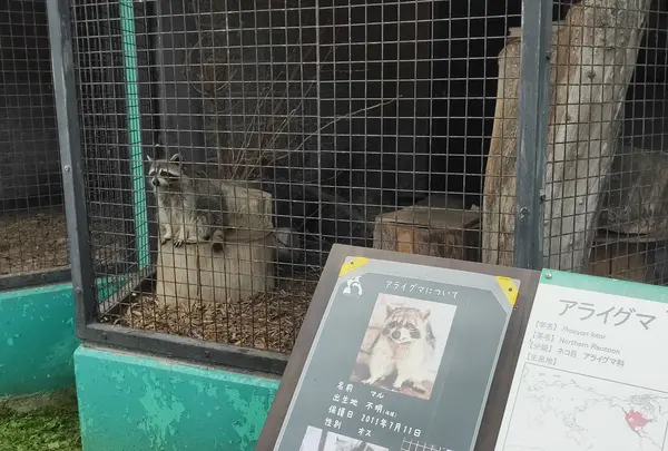 帯広動物園の写真・動画_image_437233