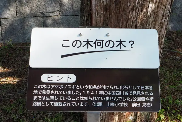 四季の郷公園の写真・動画_image_160979