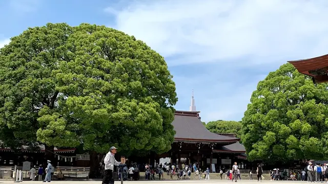 東京お試しお出かけプラン
