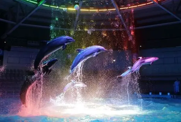 エプソンアクアパーク品川 (EPSON AQUA PARK SHINAGAWA)